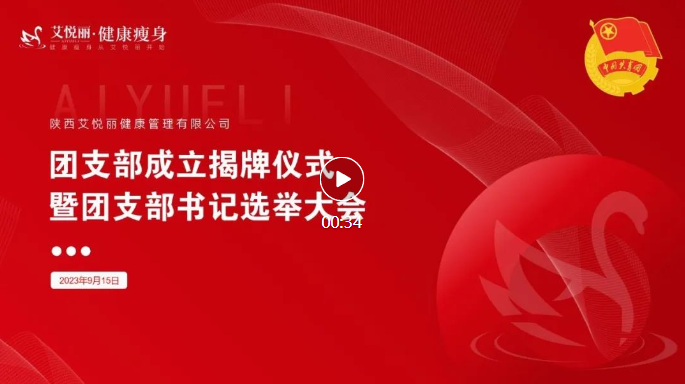 团支部成立揭牌仪式暨团支部书记选举大会
